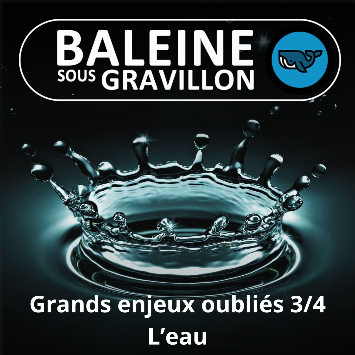 S03E98 Grands enjeux oubliés 3/4 : l'eau, un or bleu si convoité