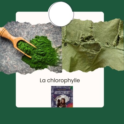 La chlorophylle cover