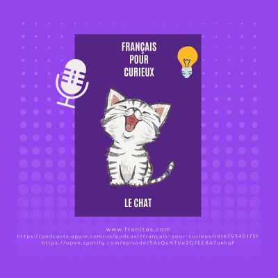 Les expressions curieuses en français : le chat cover