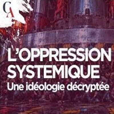 Utiliser les discriminations et dominer : L'idéologie des oppressions systémiques - P. Lornac - # politique cover