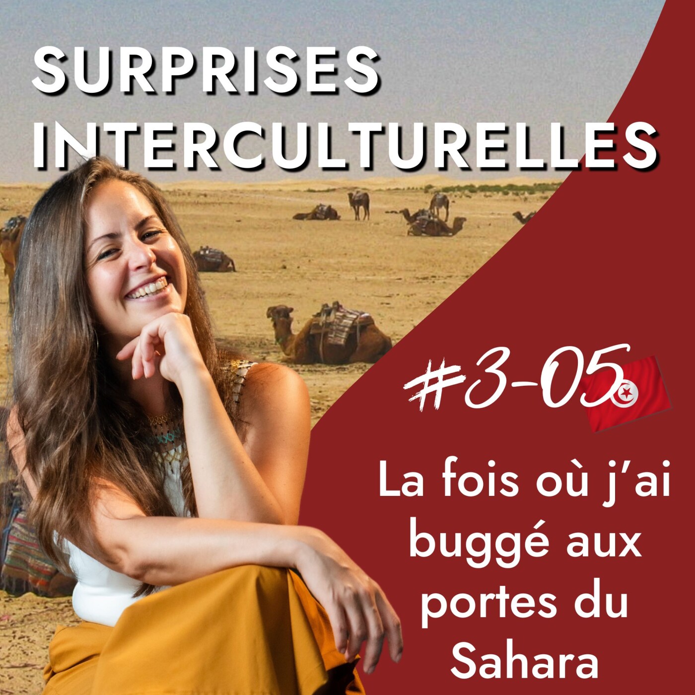 Tunisie - La fois où j'ai buggé aux portes du Sahara - Amitié, perceptions culturelles et culture tunisienne episode artwork