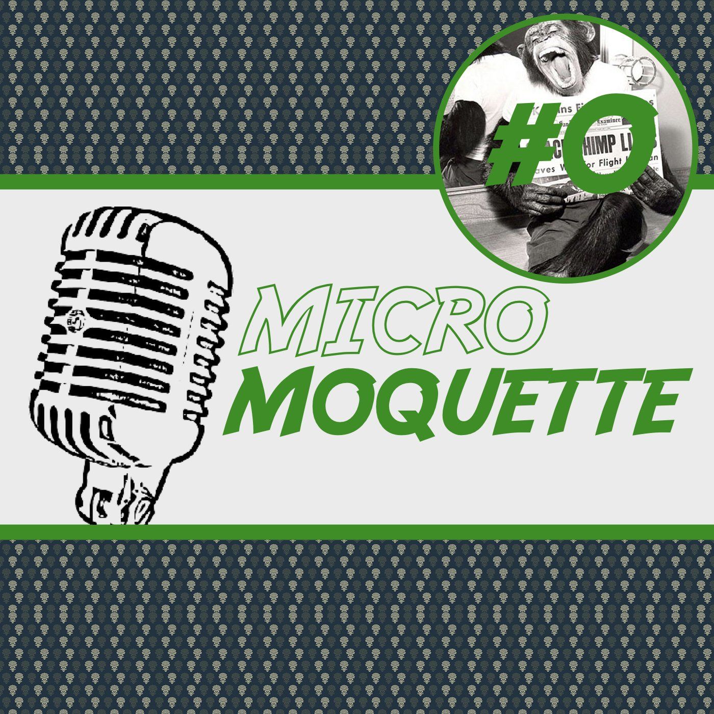 Episode 0 - Une sale histoire de singe dans l'espace