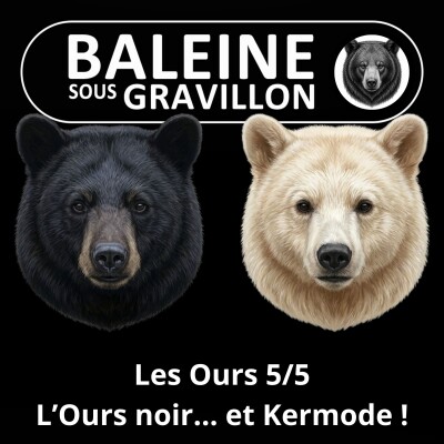 S05E26 Les Ours 5/5 : Un Ours noir... qui se décline aussi en blanc ! (Rémy Marion) cover