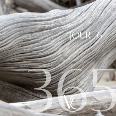 LIVE 365•6 Une transition : la plus belle chose qui puissent nous arriver ! cover