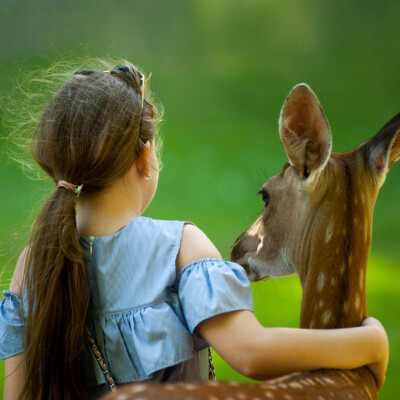 Les animaux sont-ils nos amis ? | Les Chouettes Conférences | Ep.1 cover
