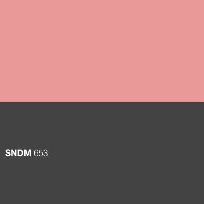 SNDM 653 cover