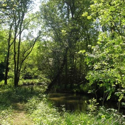 La part sauvage du monde, penser la nature dans l'Anthropocène cover