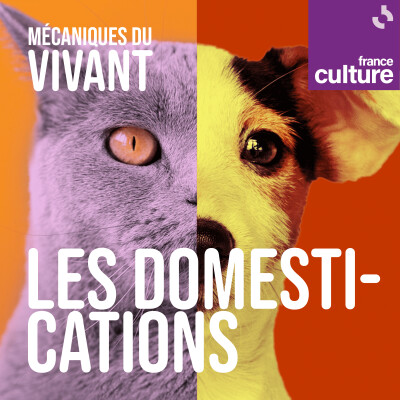 Mécaniques du vivant, saison 5 : Les domestications cover