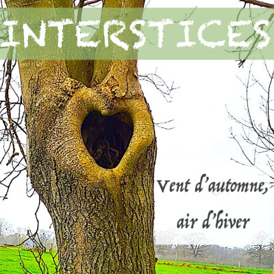 Vent d'automne, air d'hiver cover