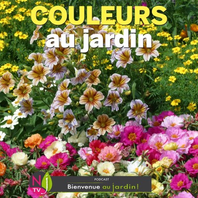 LE DOSSIER: QUELLES COULEURS POUR VOTRE JARDIN ? cover