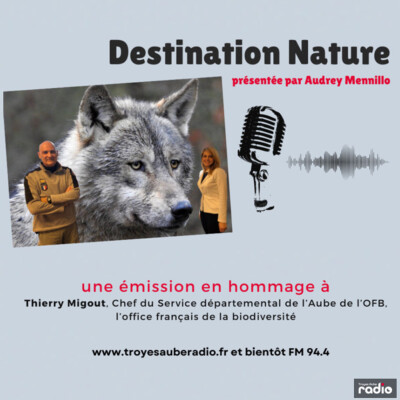 DESTINATION NATURE - Hommage à Thierry Migout cover