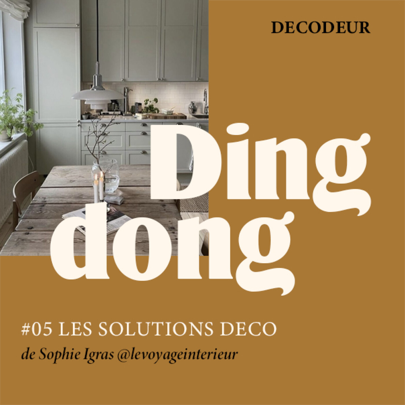 DING DONG 10 questions à un expert : les astuces déco de Sophie Igras