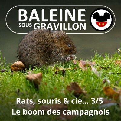 S05E58 Rats, souris & cie 3/5 : Le boom des campagnols (Hélène Dupuy) cover