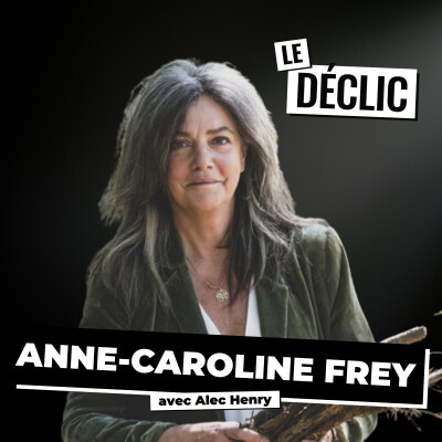 De la pub parisienne à un hôtel à 3 M€ : elle a créé une catégorie qui n'existait pas | Anne-Caroline Frey | Déclic 409 cover