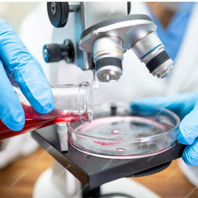 Chercheur à l'école : Vanina Lorenzi à l'école de Cuttoli cover