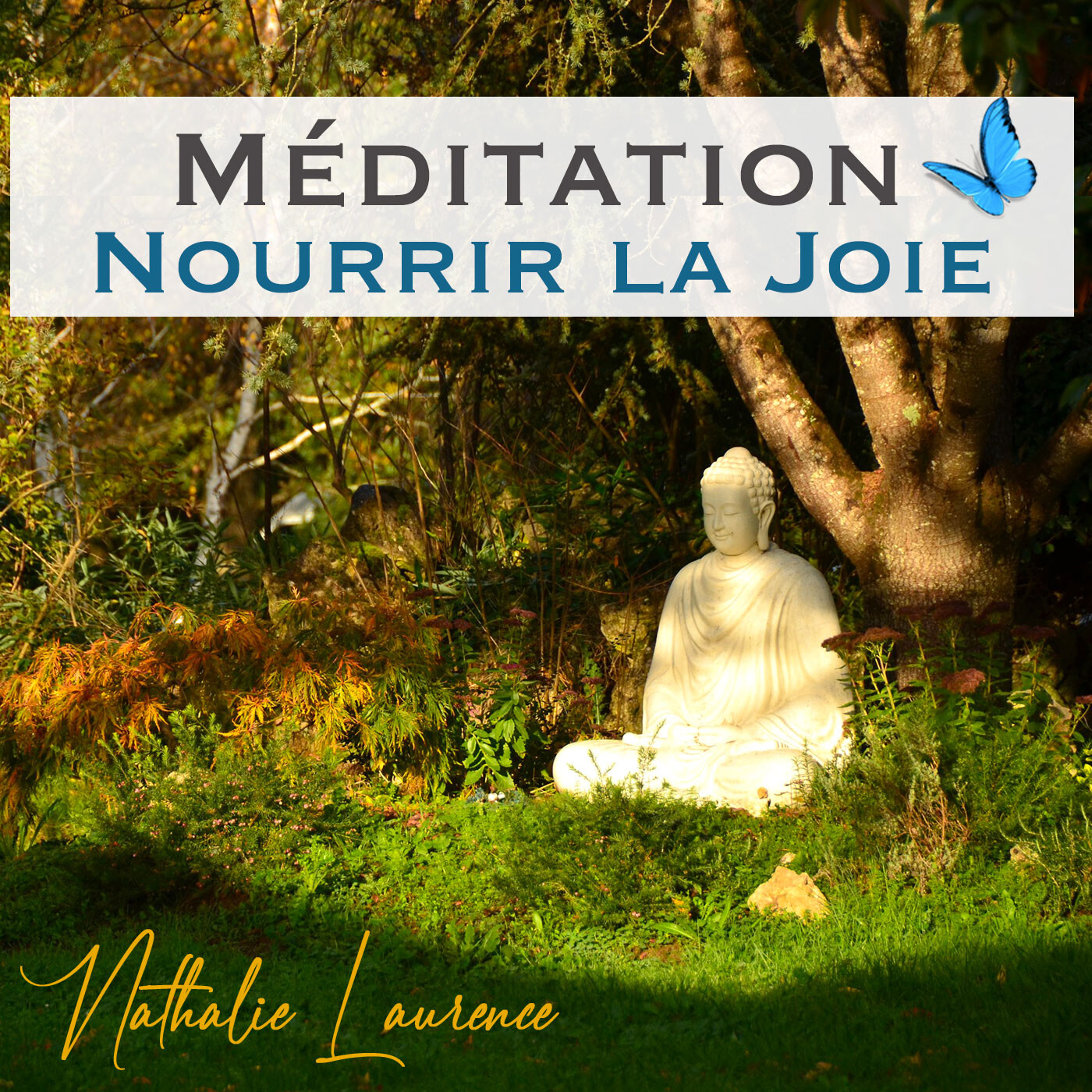 Podcast et Méditations par Nathalie LAURENCE