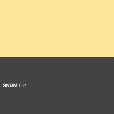 SNDM 651 cover