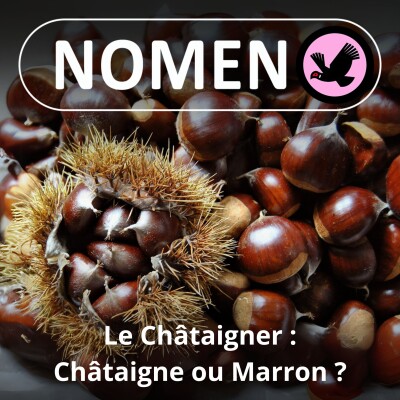 S02E16 Bim bam, Châtaigne ou Marron ? cover