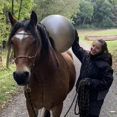 S'apprivoiser à la mode cheval selon Hawai & Camille - Mandibule - Episode 11 cover