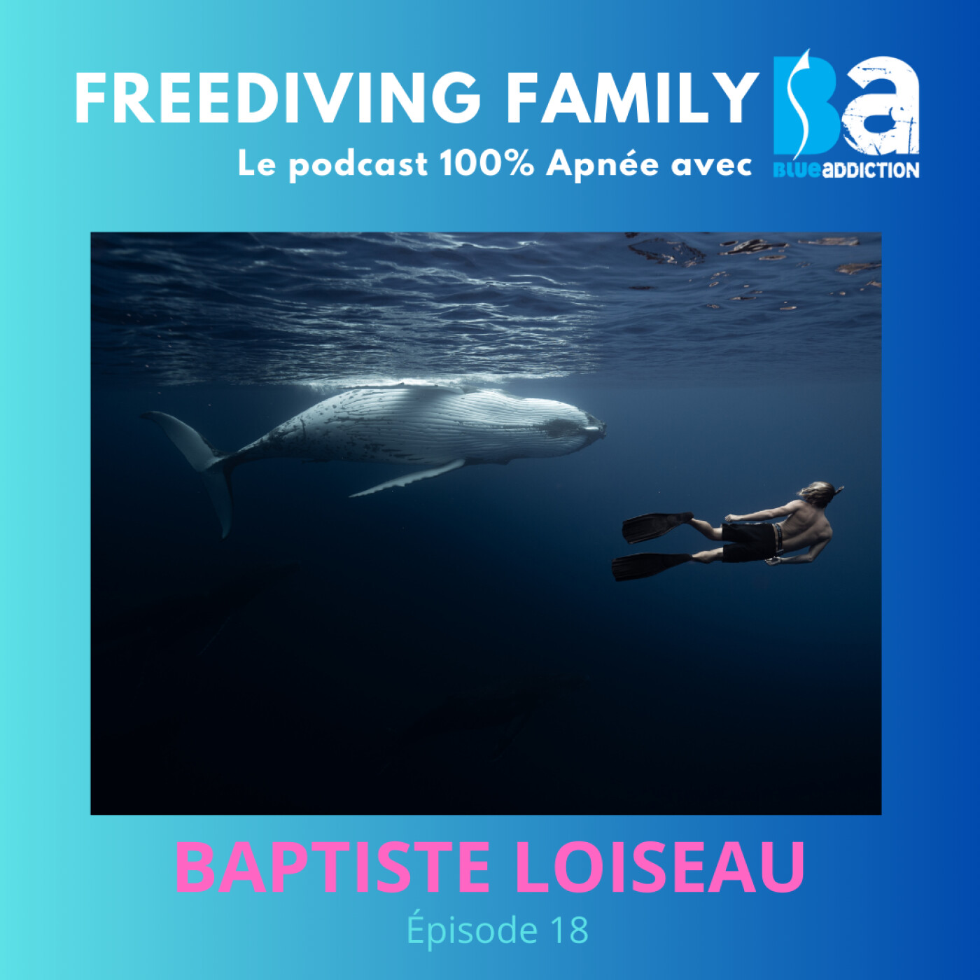 [Redif] #18 Baptiste Loiseau - L'amoureux des baleines de Moorea - Photographe aquatique