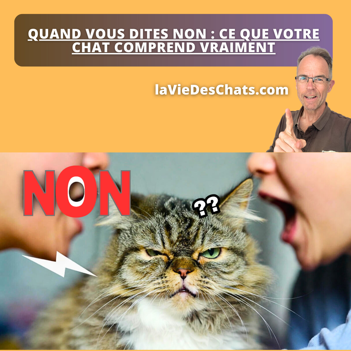 DIRE "NON" À SON CHAT … MAIS QU'EST-CE QU'IL COMPREND VRAIMENT ?