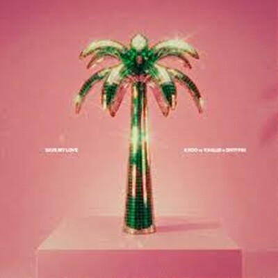 LE RETOUR DE KYGO AVEC "SAVE MY LOVE" cover