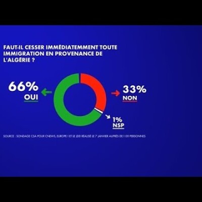 Nos amis français et le dangereux piège de la manipulation du sentiment anti-Algérien cover