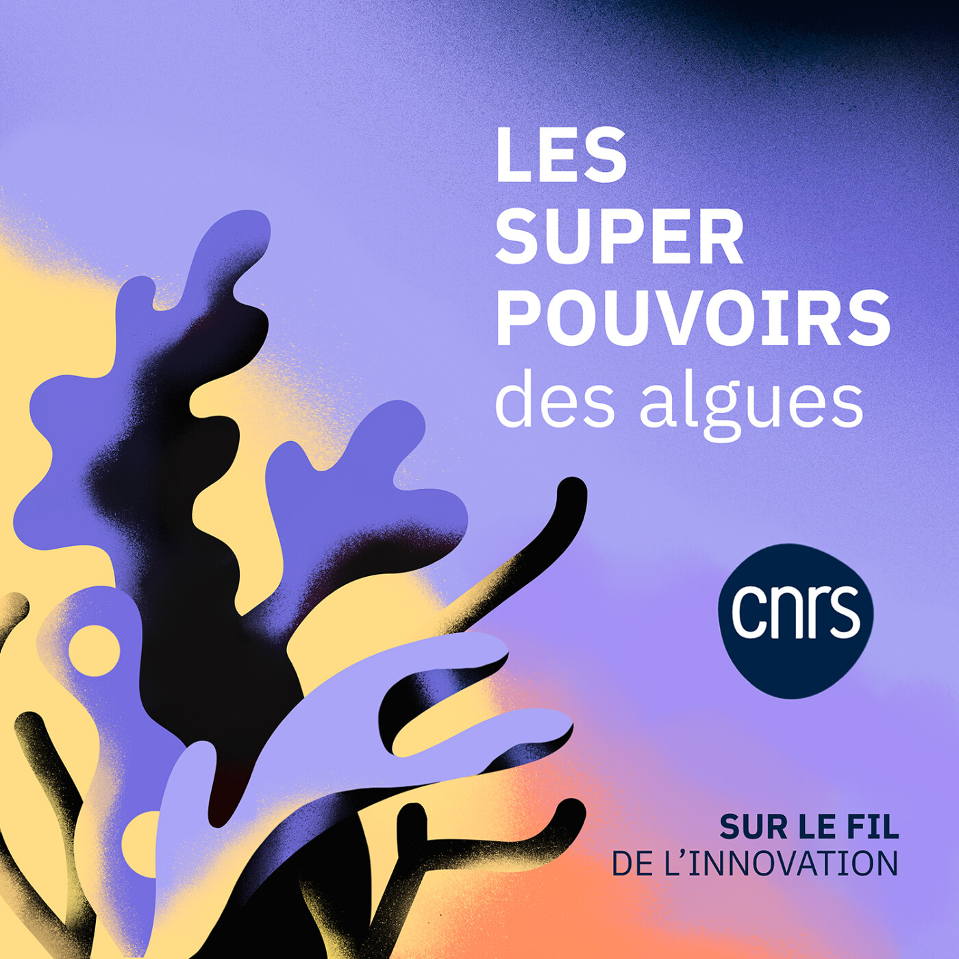 Les super pouvoirs des algues | Sur le fil de l'innovation