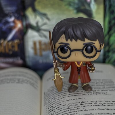 2026-03-CM1-CM2 Sarrola - harry potter cover