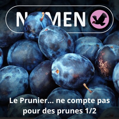 S05E20 Le Prunier... ne compte pas pour des prunes (1/2) cover