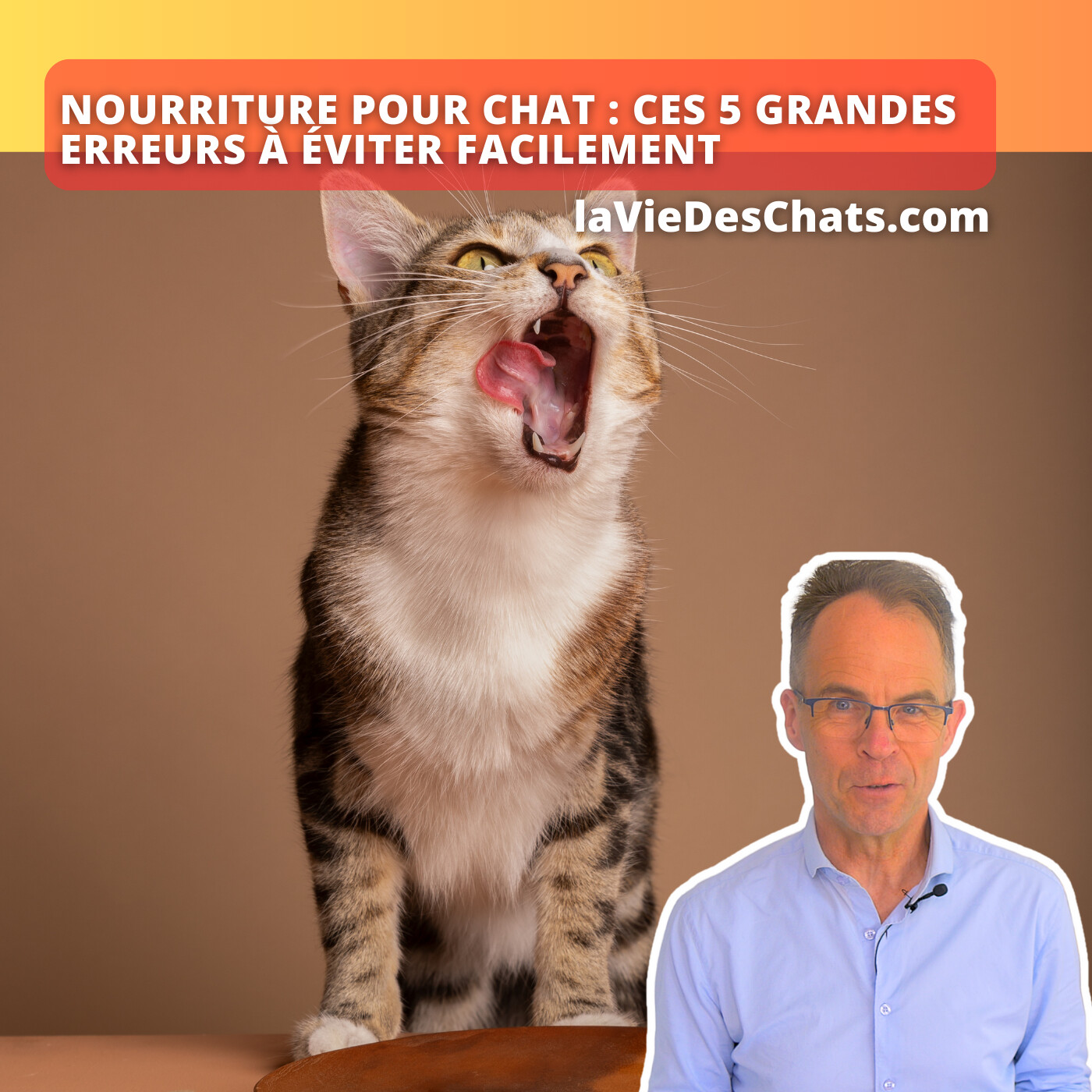 laVieDesChats