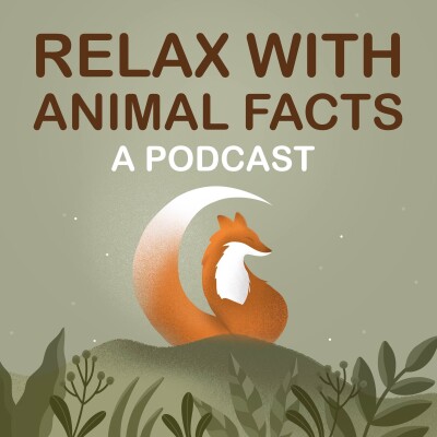 Grey Heron: Nature's Most Patient Wetland Assassin cover