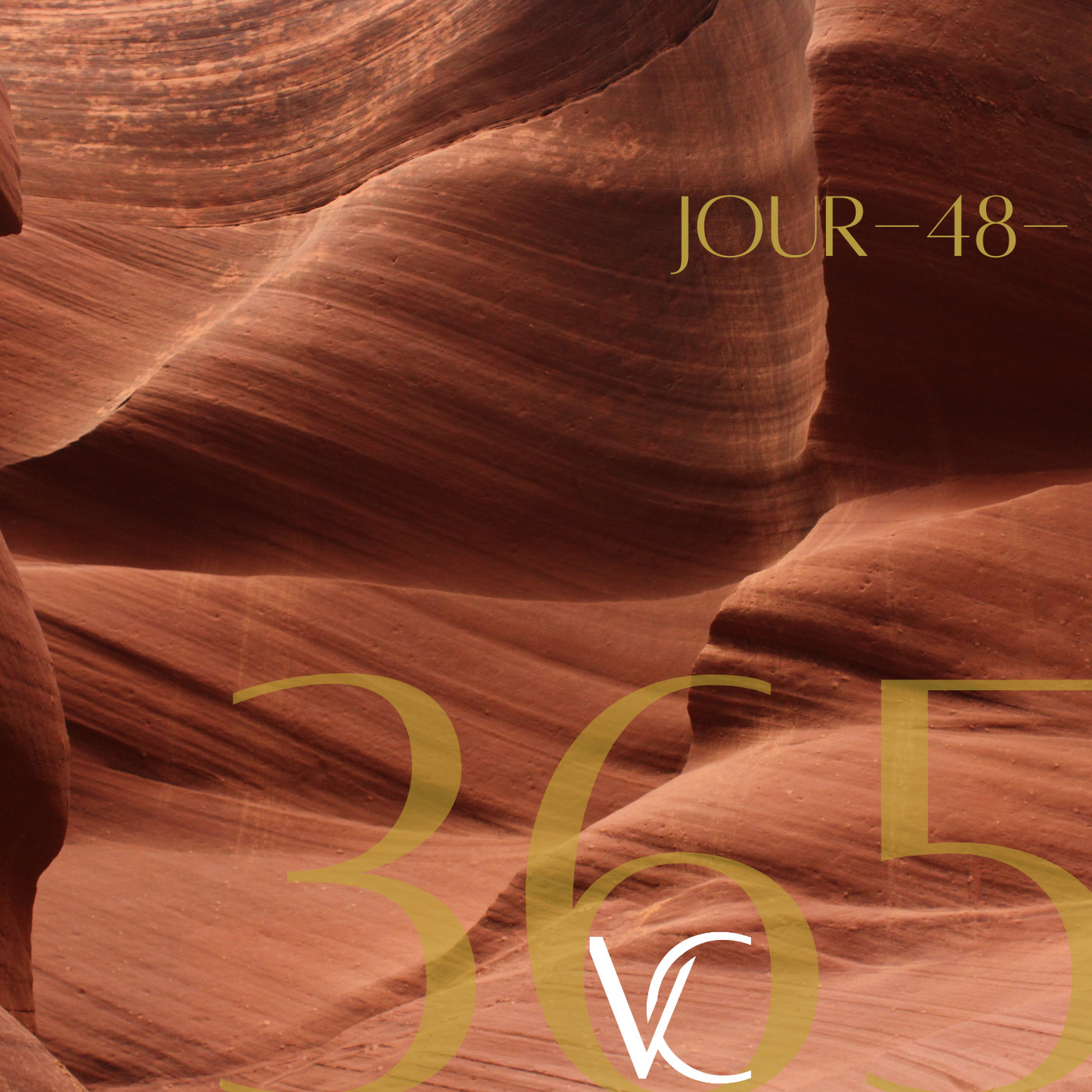 LIVE 365 by Valérie Carchi