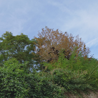 Le lundi au soleil..ou pas.. cover