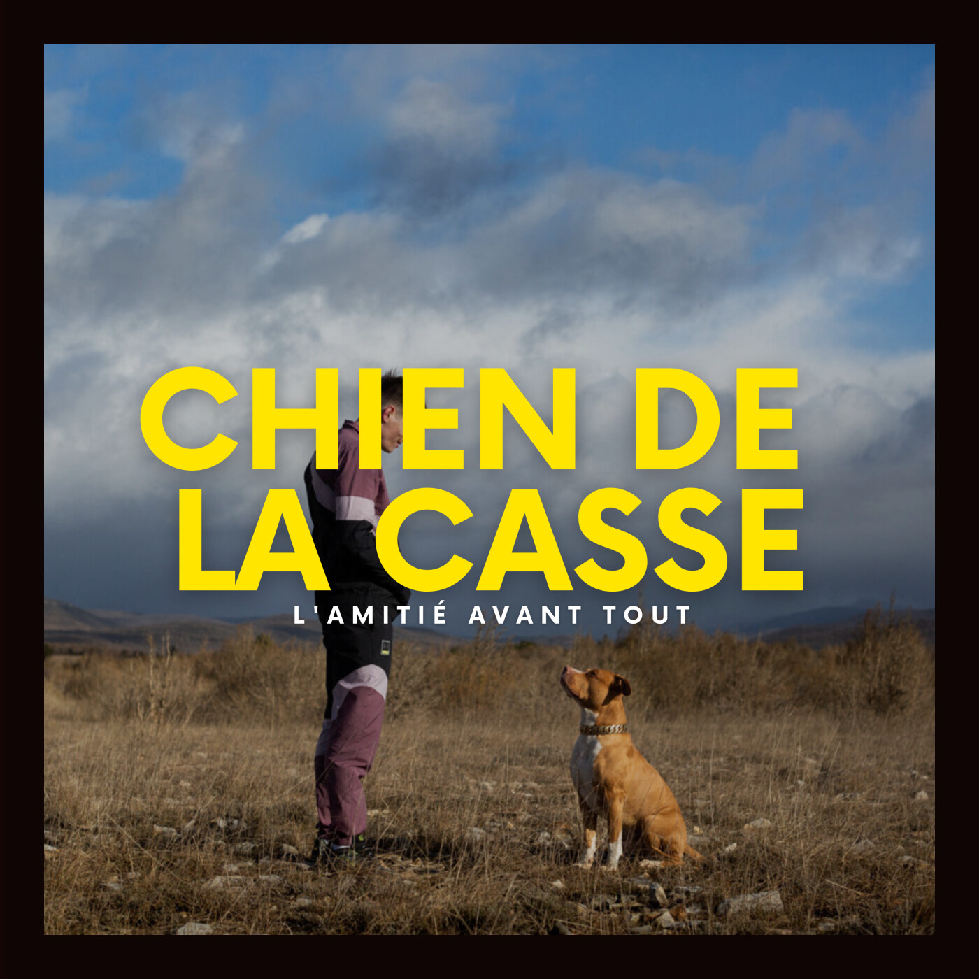 CINECAST - Sorties cinéma, streaming & VOD