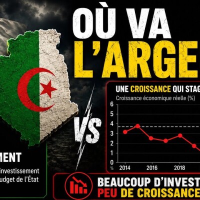 Où vont VRAIMENT les milliards de l'Algérie ? cover