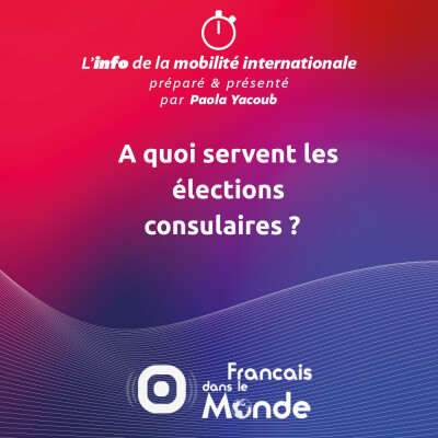 A quoi servent les élections consulaires? cover