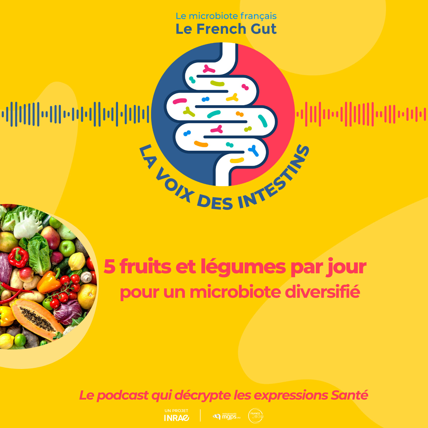 Saison 1 - épisode 1. "5 fruits et légumes par jour", pour un microbiote diversifié