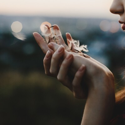 S1E11 - Douceur et humilité, deux fondements du prendre soin cover