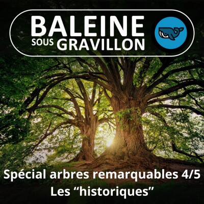 SPÉCIAL Arbres remarquables 4/5 : Les "historiques" cover