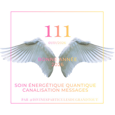 Portail ascensionnel 111 - Soin Énergétique - Canalisation Messages cover