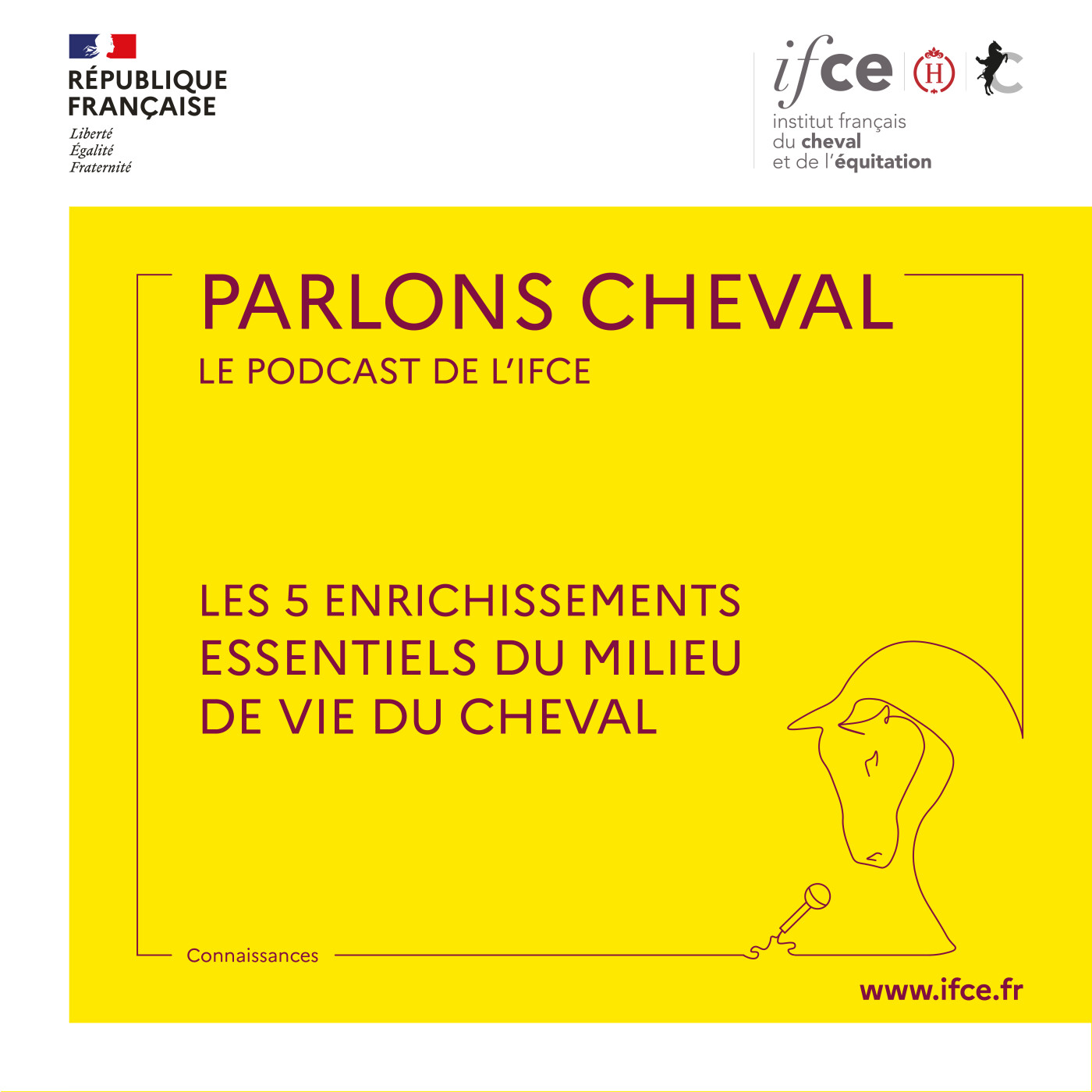Les 5 enrichissements essentiels du milieu de vie du cheval - Alice Ruet