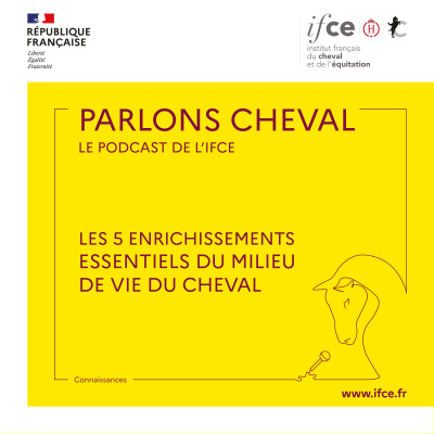 Les 5 enrichissements essentiels du milieu de vie du cheval - Alice Ruet cover