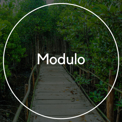Modulo cover