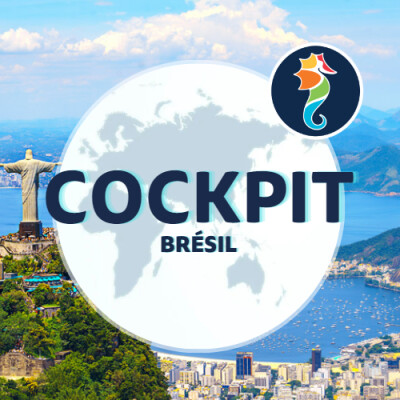 Itinéraire d'un voyage au Brésil cover