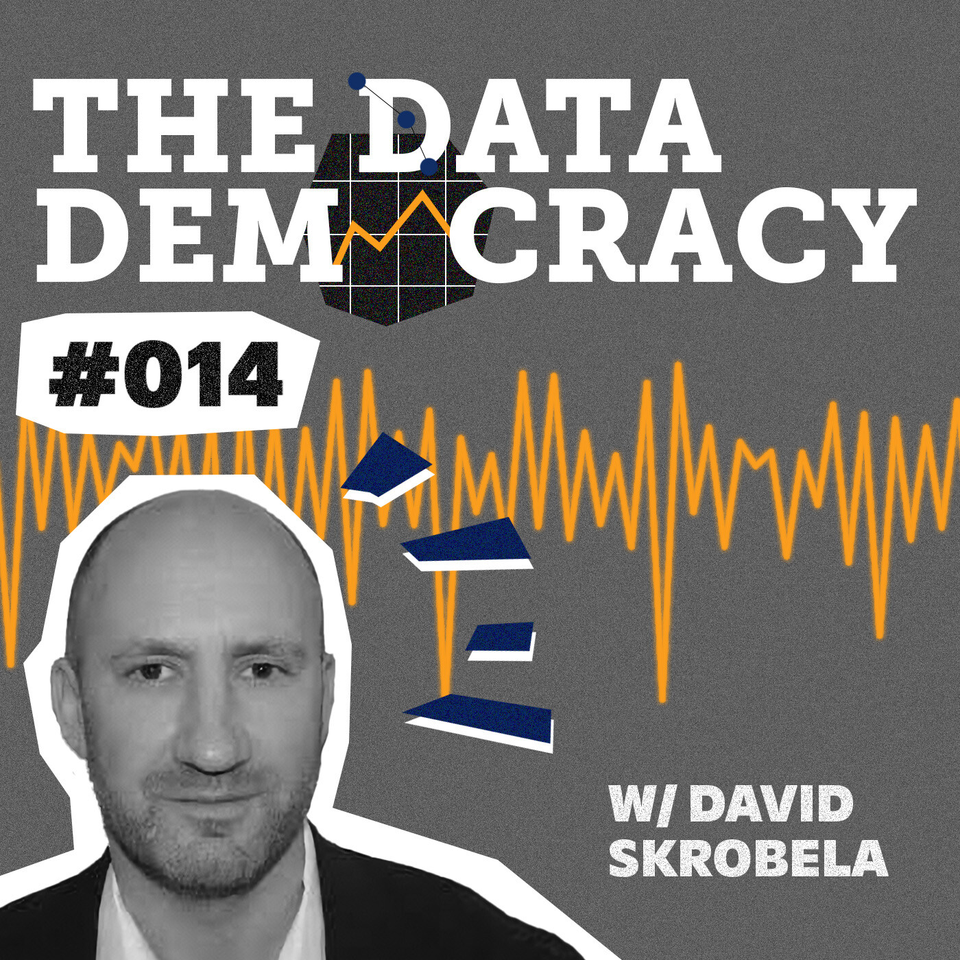 The Data Democracy