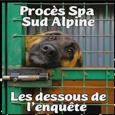 L'aVie du Peuple épi 12 Procès SPA Sud Alpine les dessous de l'enquête part 1 Témoignages cover