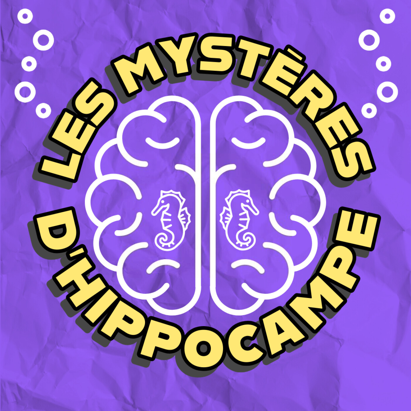 Les Mystères d’Hippocampe