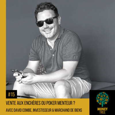#15 - Maitriser la vente aux enchères pour faire de bonnes affaires (David Combe) cover