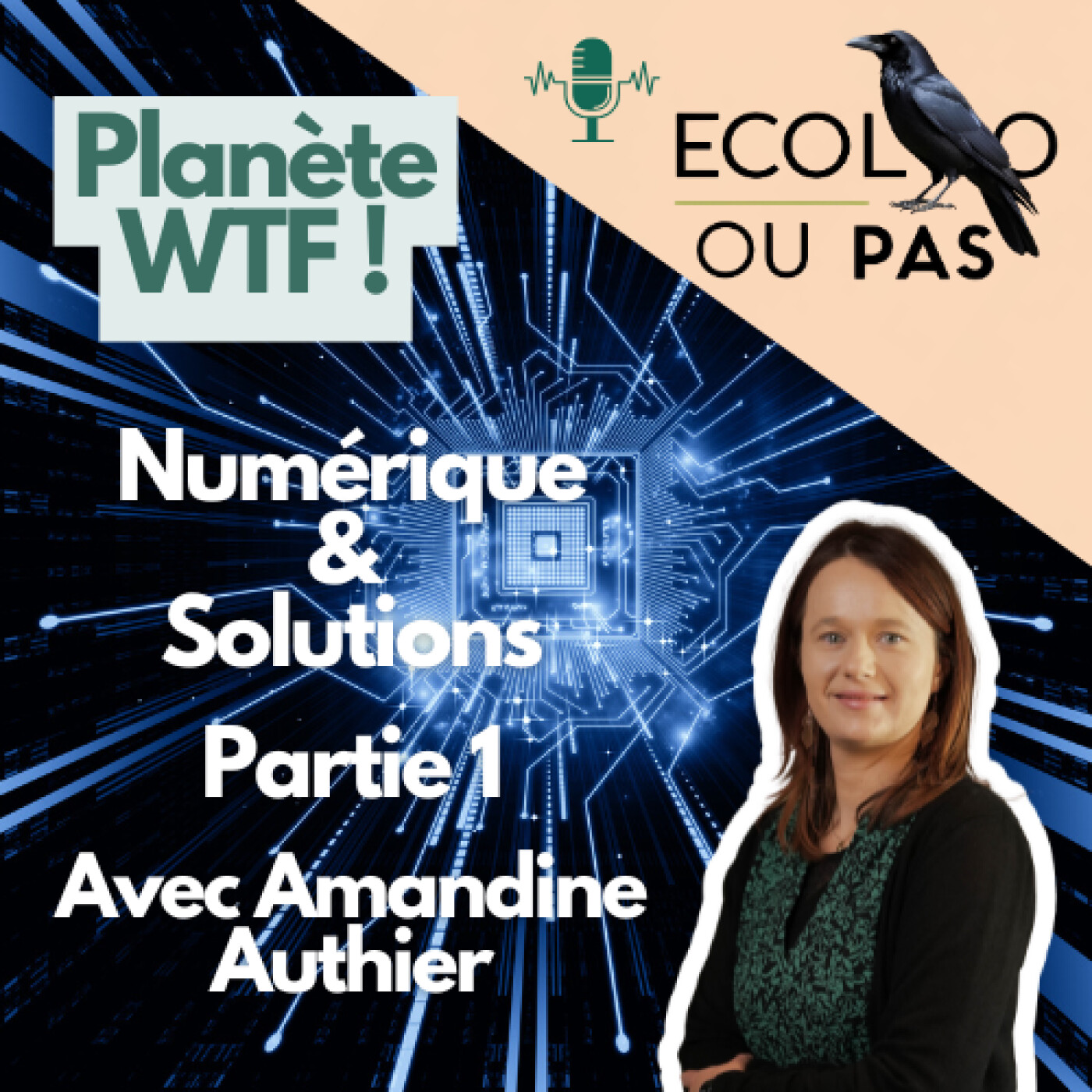 Ecolo Ou Pas ?